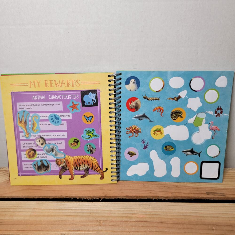 Set of 2 Leap Frog Leap Start Books: Level 3 & Levels 3&4 - Picture 3 of 3